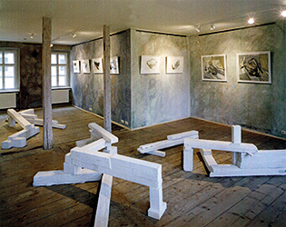 Michael Thomas Installation, 1998